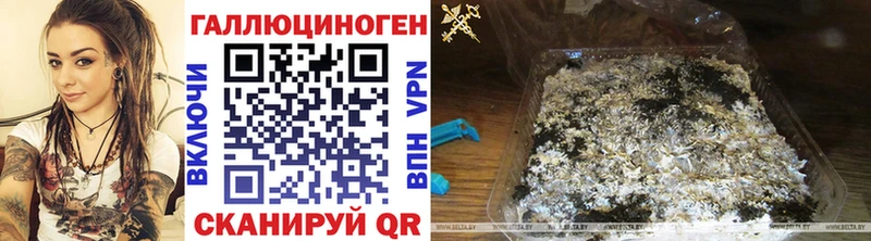 Псилоцибиновые грибы GOLDEN TEACHER  площадка состав  Пугачёв 
